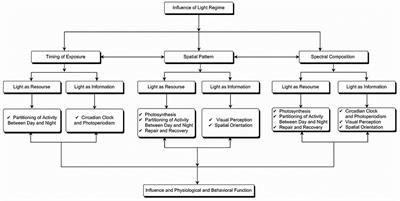 A review of the effects of artificial light at night in urban areas on the ecosystem level and the remedial measures